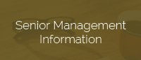 senior-management